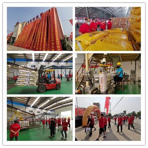 百萬噸酵素肥基地落成 億豐實業(yè)集團(tuán)發(fā)布會釋放行業(yè)重磅信息